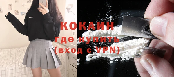 бошки Дмитров
