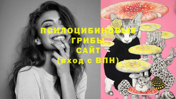 синтетический гашиш Дмитриев