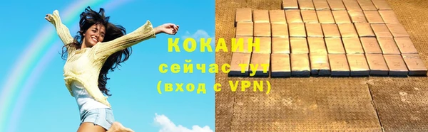 бошки Дмитров