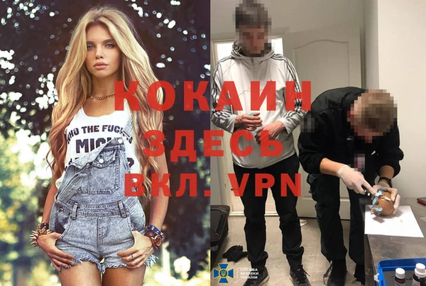 бошки Дмитров