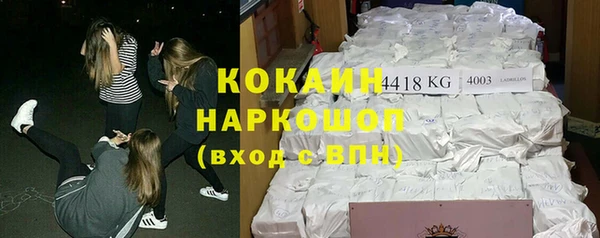 бошки Дмитров